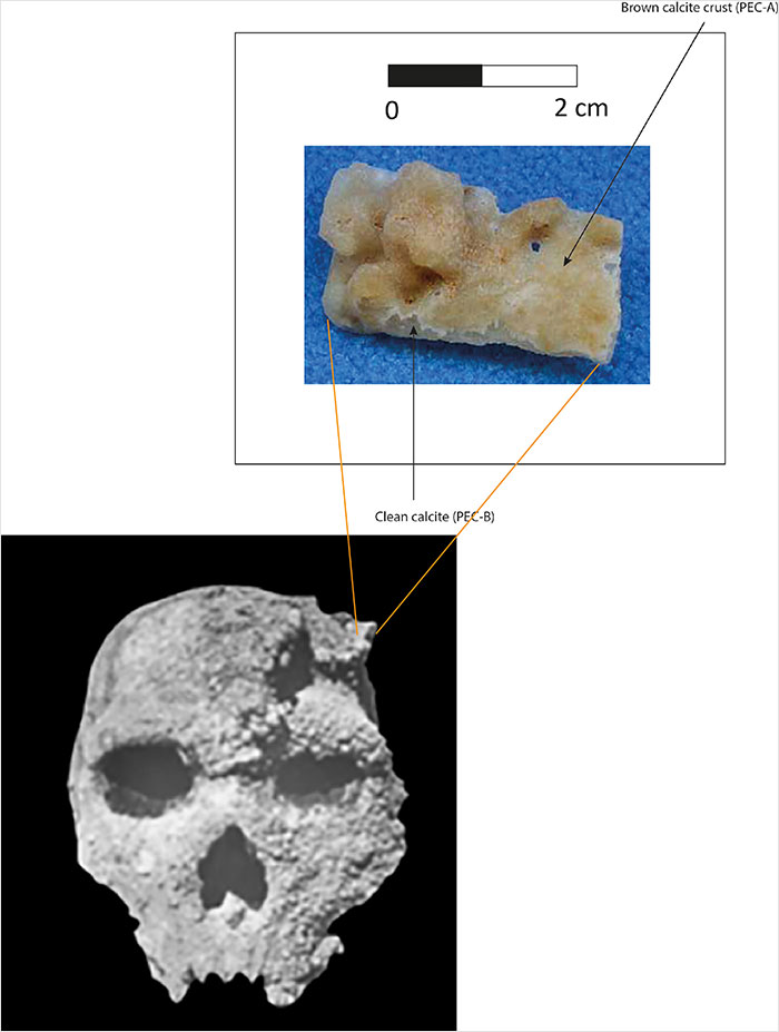 Mysterious &#8216;Petralona Man&#8217; Skull Found In Cave 60 Years Ago Baffles Experts After New Study