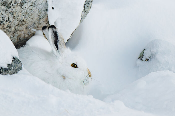 The 15 Most Heart-Melting Wildlife Moments I Was Lucky Enough To Capture