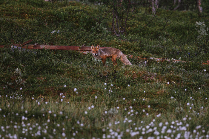 The 15 Most Heart-Melting Wildlife Moments I Was Lucky Enough To Capture