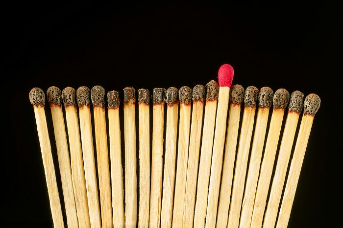 25 Odd-One-Out Questions Only True Visual Thinkers Can Ace &#8211; Prove You’re One Of Them