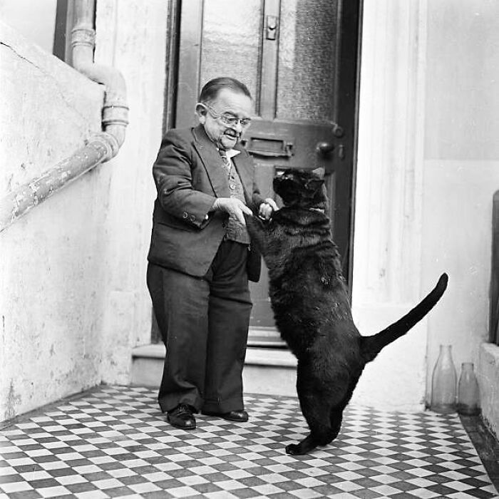 53 Vintage Cat Photos Featuring Celebrities, Historical Moments, And Pure Feline Magic