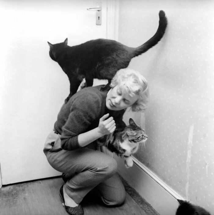 53 Vintage Cat Photos Featuring Celebrities, Historical Moments, And Pure Feline Magic