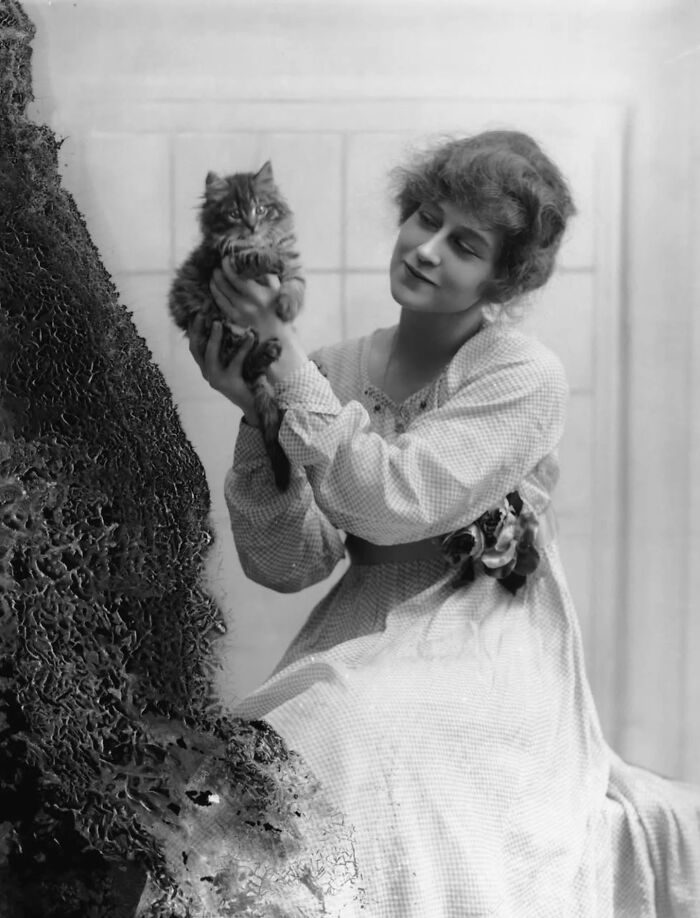 53 Vintage Cat Photos Featuring Celebrities, Historical Moments, And Pure Feline Magic