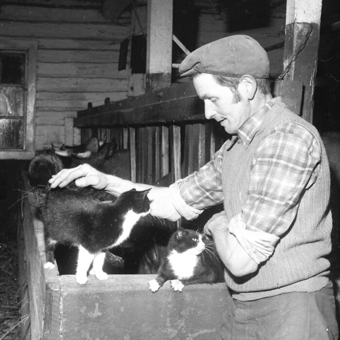53 Vintage Cat Photos Featuring Celebrities, Historical Moments, And Pure Feline Magic