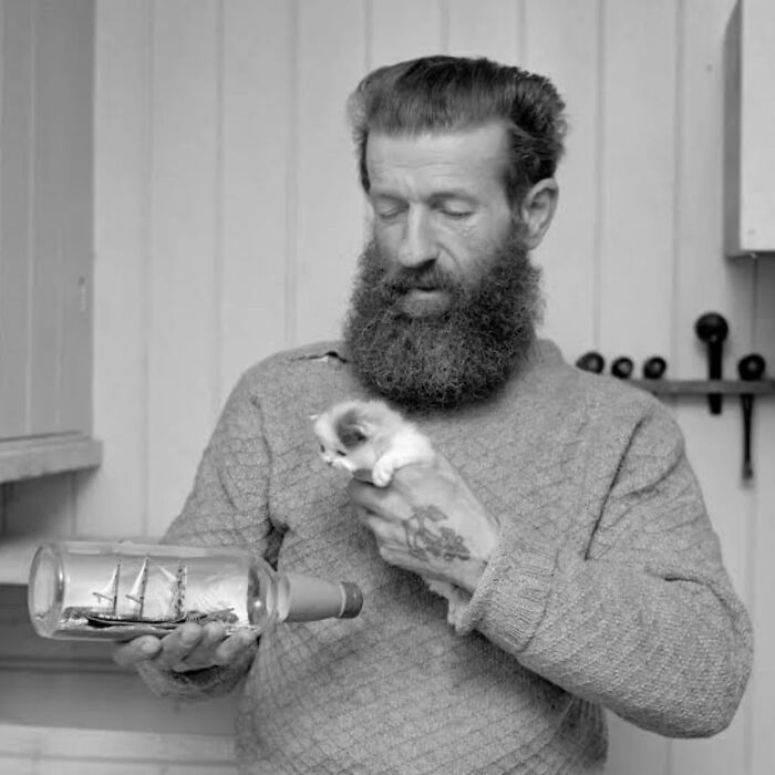 53 Vintage Cat Photos Featuring Celebrities, Historical Moments, And Pure Feline Magic