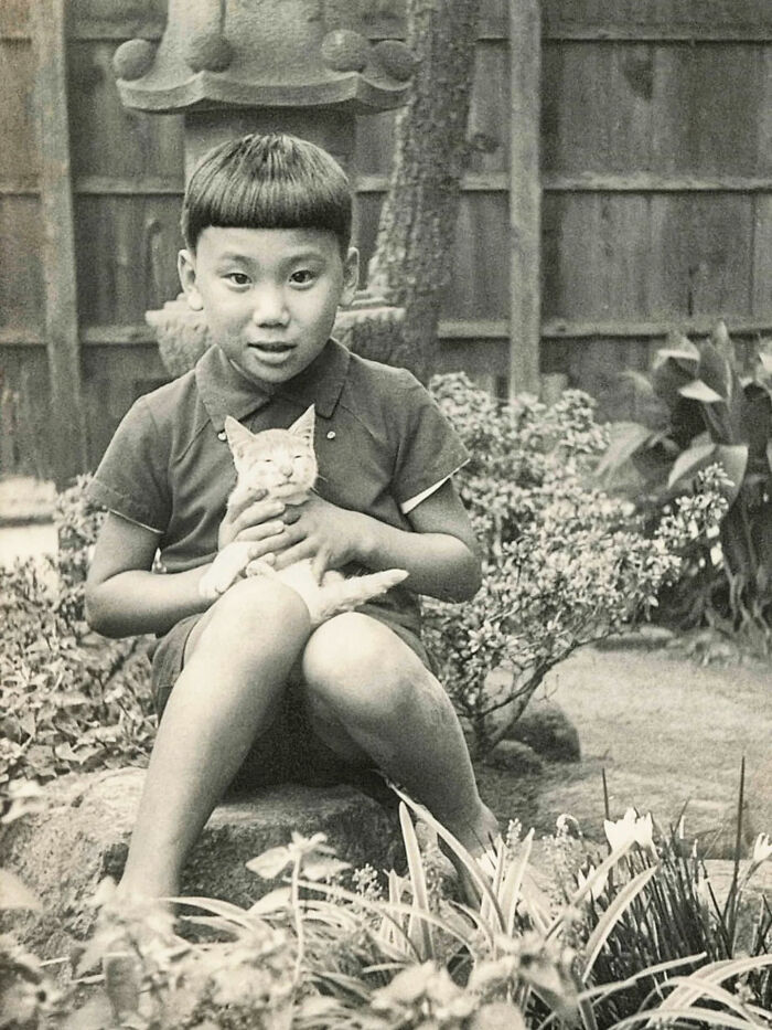 53 Vintage Cat Photos Featuring Celebrities, Historical Moments, And Pure Feline Magic