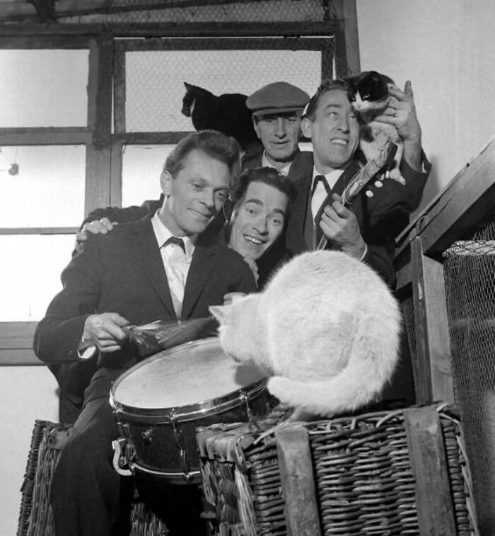 53 Vintage Cat Photos Featuring Celebrities, Historical Moments, And Pure Feline Magic