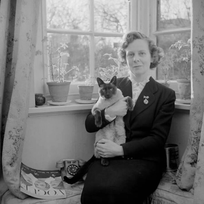 53 Vintage Cat Photos Featuring Celebrities, Historical Moments, And Pure Feline Magic