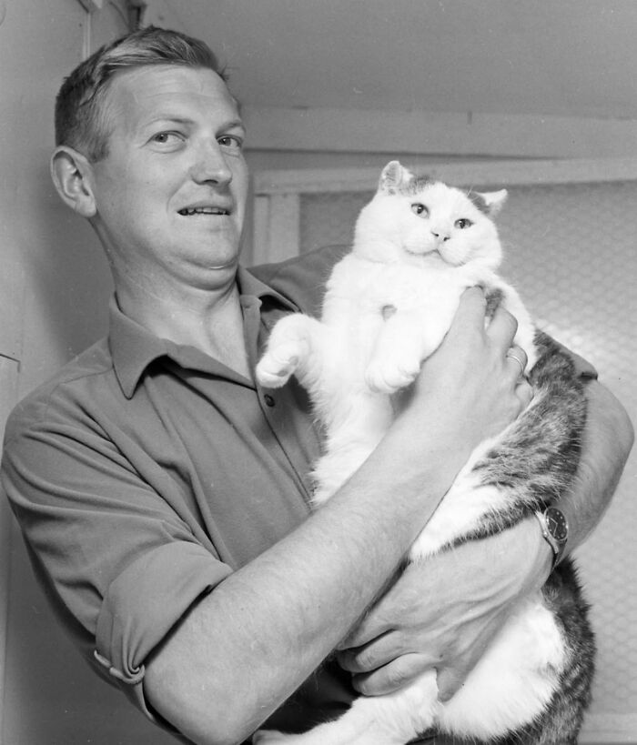 53 Vintage Cat Photos Featuring Celebrities, Historical Moments, And Pure Feline Magic