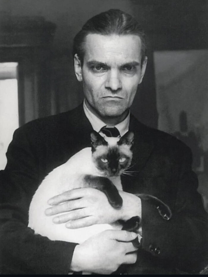 53 Vintage Cat Photos Featuring Celebrities, Historical Moments, And Pure Feline Magic