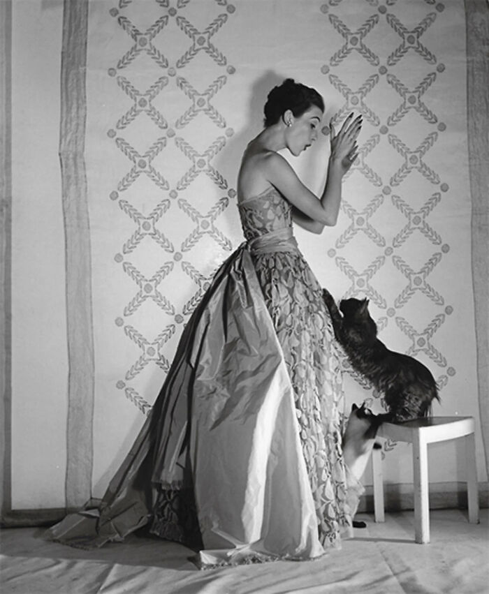 53 Vintage Cat Photos Featuring Celebrities, Historical Moments, And Pure Feline Magic