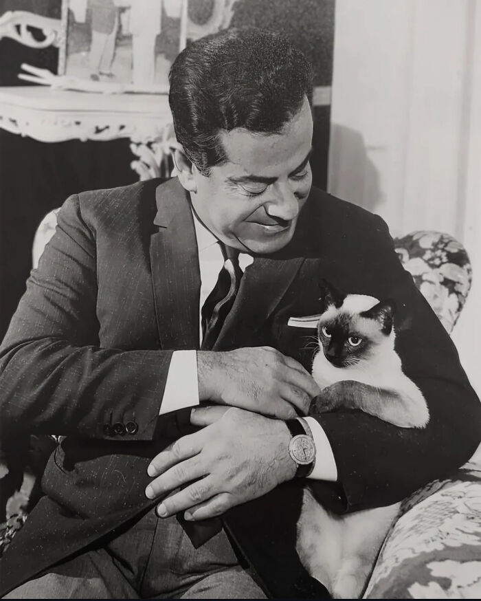 53 Vintage Cat Photos Featuring Celebrities, Historical Moments, And Pure Feline Magic