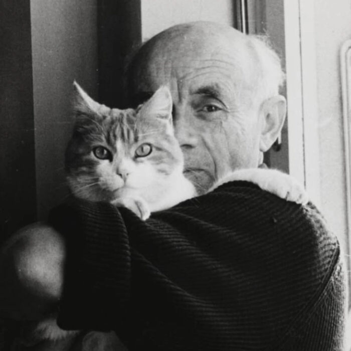 53 Vintage Cat Photos Featuring Celebrities, Historical Moments, And Pure Feline Magic