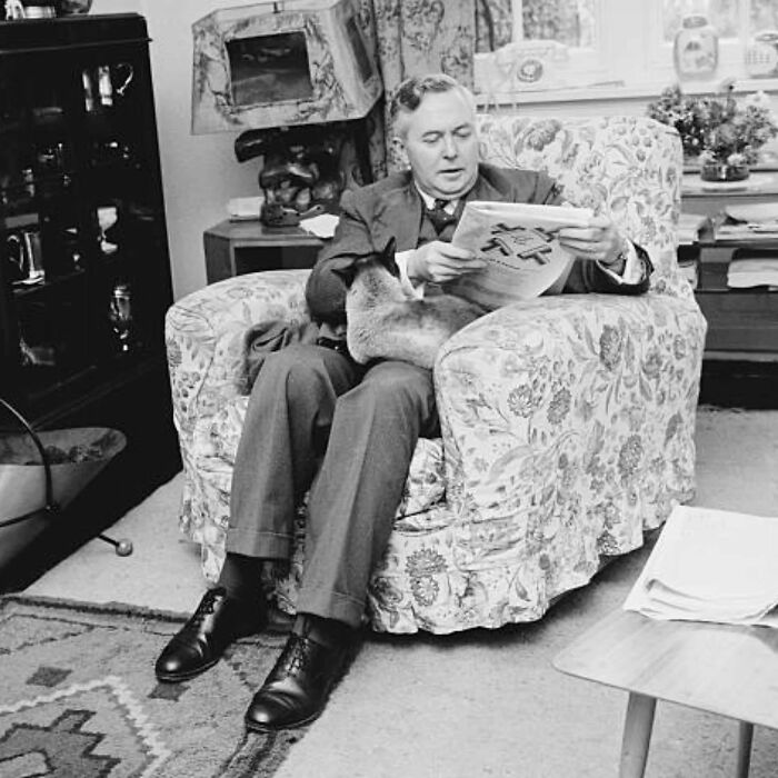 53 Vintage Cat Photos Featuring Celebrities, Historical Moments, And Pure Feline Magic
