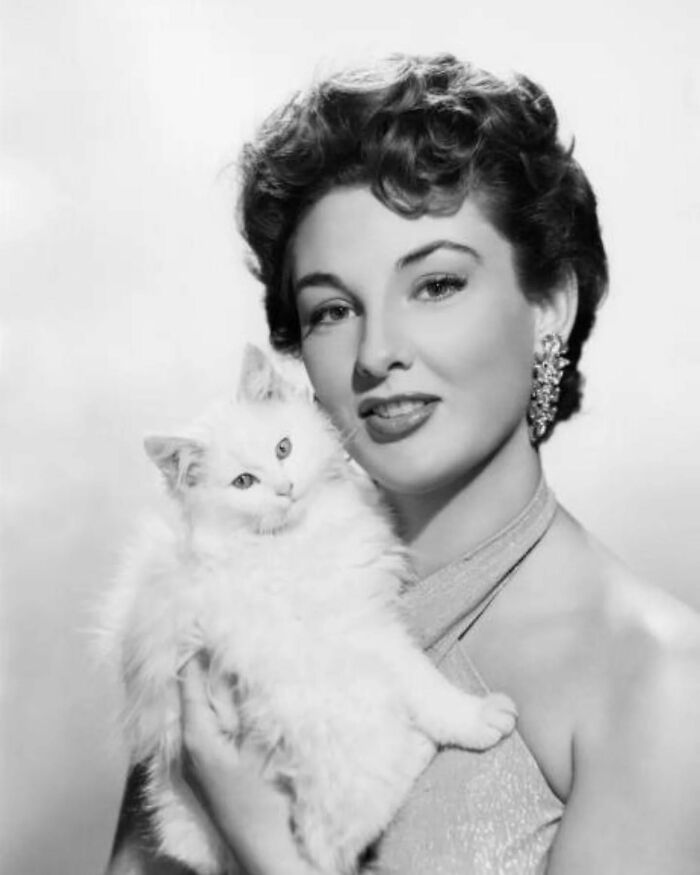 53 Vintage Cat Photos Featuring Celebrities, Historical Moments, And Pure Feline Magic