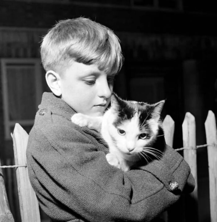 53 Vintage Cat Photos Featuring Celebrities, Historical Moments, And Pure Feline Magic