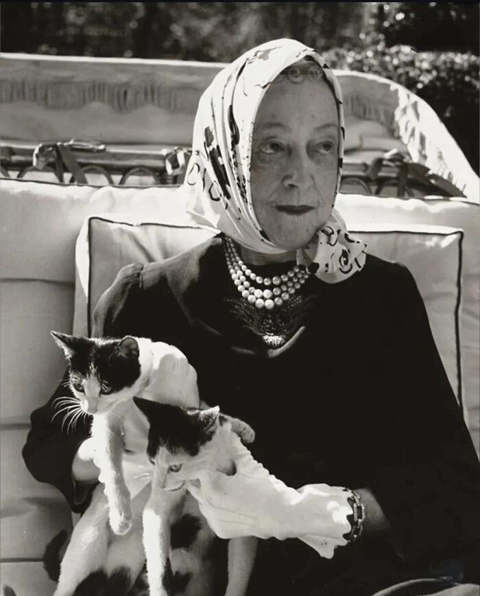 53 Vintage Cat Photos Featuring Celebrities, Historical Moments, And Pure Feline Magic