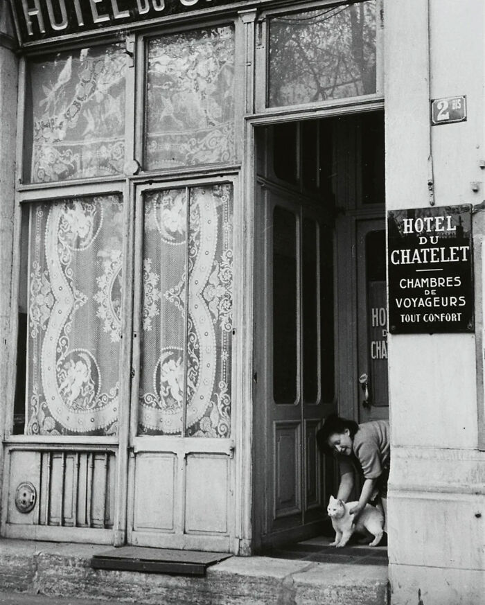 53 Vintage Cat Photos Featuring Celebrities, Historical Moments, And Pure Feline Magic