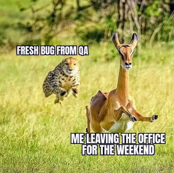 77 Funny Memes Programmers Created When They Weren’t Coding