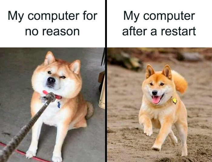 77 Funny Memes Programmers Created When They Weren’t Coding