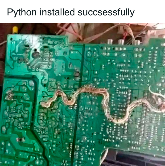 77 Funny Memes Programmers Created When They Weren’t Coding