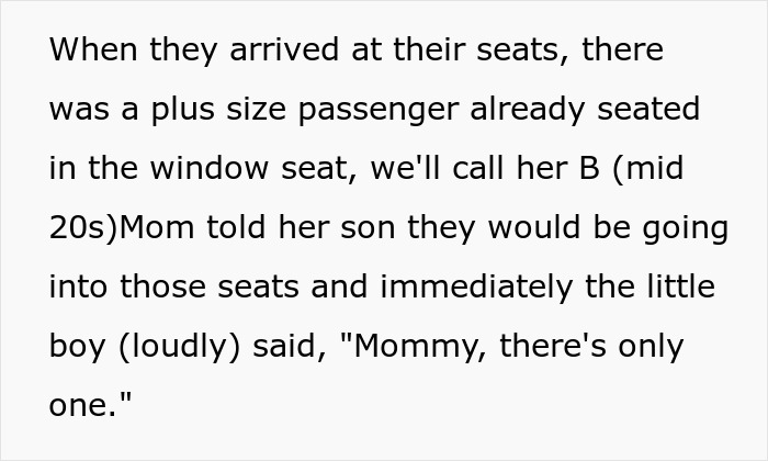 Flight Attendant Wonders If They Were Wrong To Not Offer Overweight Woman A Seatbelt Extender Immediately