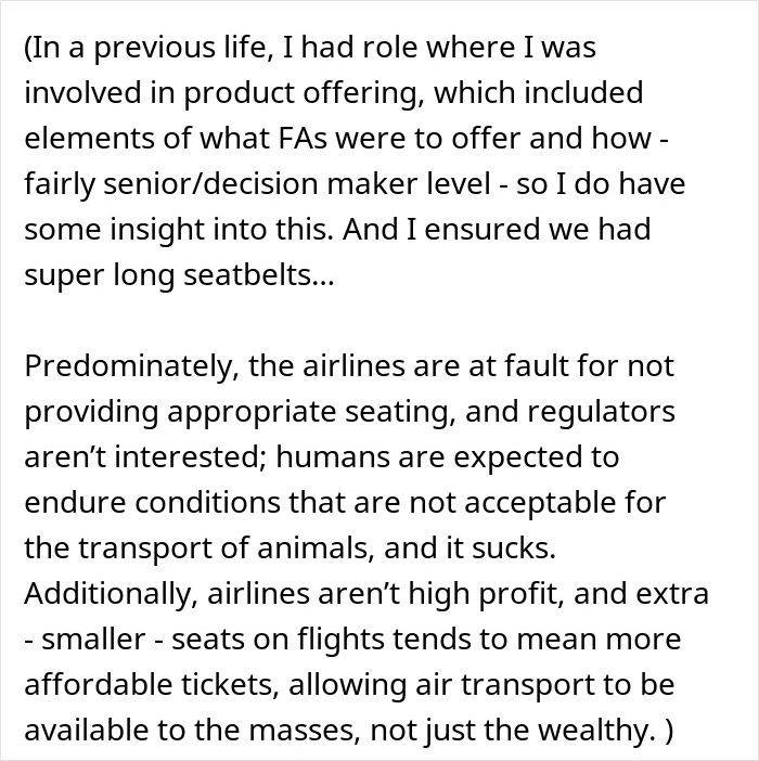 Flight Attendant Wonders If They Were Wrong To Not Offer Overweight Woman A Seatbelt Extender Immediately