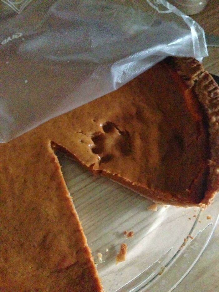 116 Cute Cat Paw Prints That Prove Cats Truly Don’t Care And Never Did