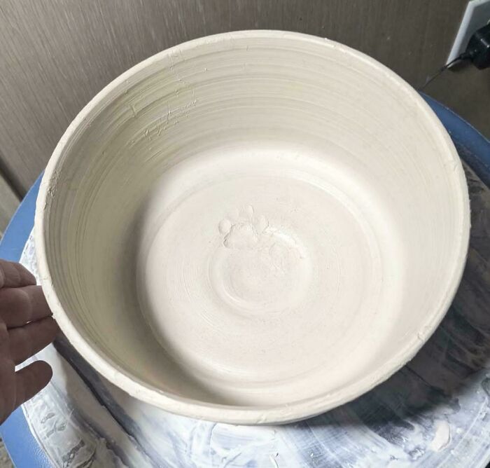 116 Cute Cat Paw Prints That Prove Cats Truly Don’t Care And Never Did
