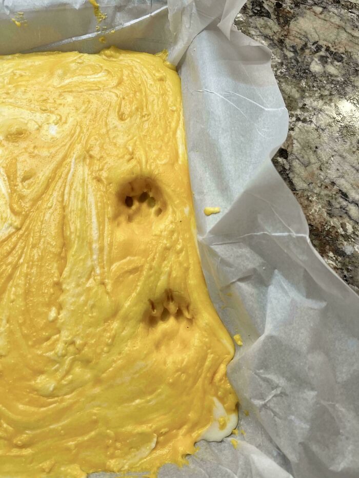 116 Cute Cat Paw Prints That Prove Cats Truly Don’t Care And Never Did