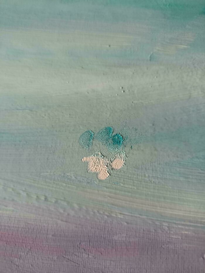 116 Cute Cat Paw Prints That Prove Cats Truly Don’t Care And Never Did