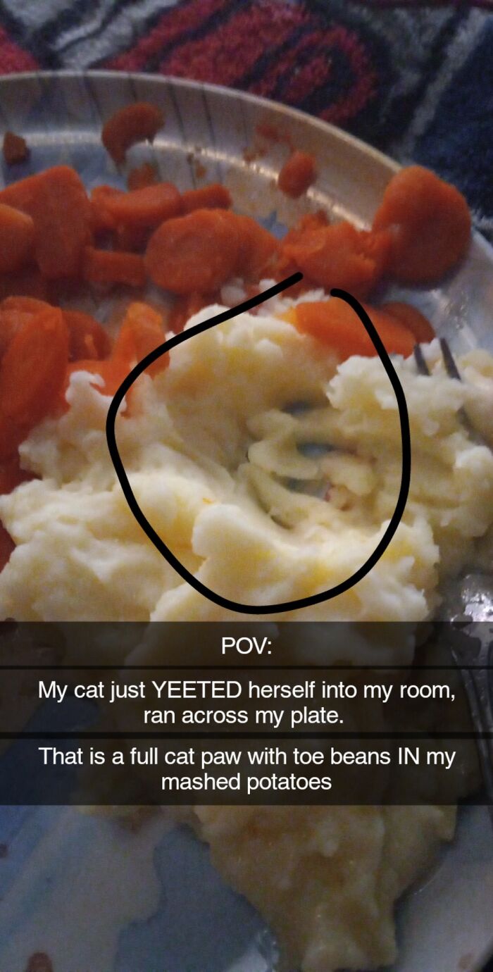 116 Cute Cat Paw Prints That Prove Cats Truly Don’t Care And Never Did