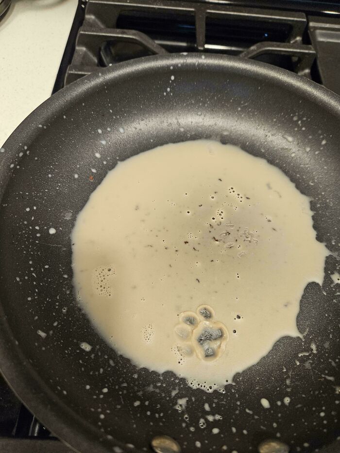 116 Cute Cat Paw Prints That Prove Cats Truly Don’t Care And Never Did