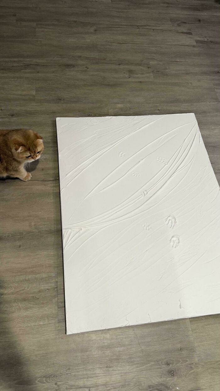 116 Cute Cat Paw Prints That Prove Cats Truly Don’t Care And Never Did