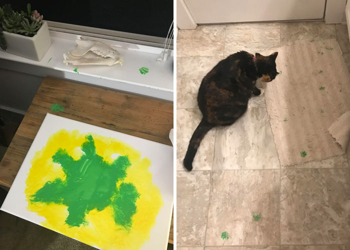 116 Cute Cat Paw Prints That Prove Cats Truly Don’t Care And Never Did