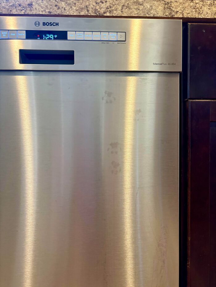 116 Cute Cat Paw Prints That Prove Cats Truly Don’t Care And Never Did
