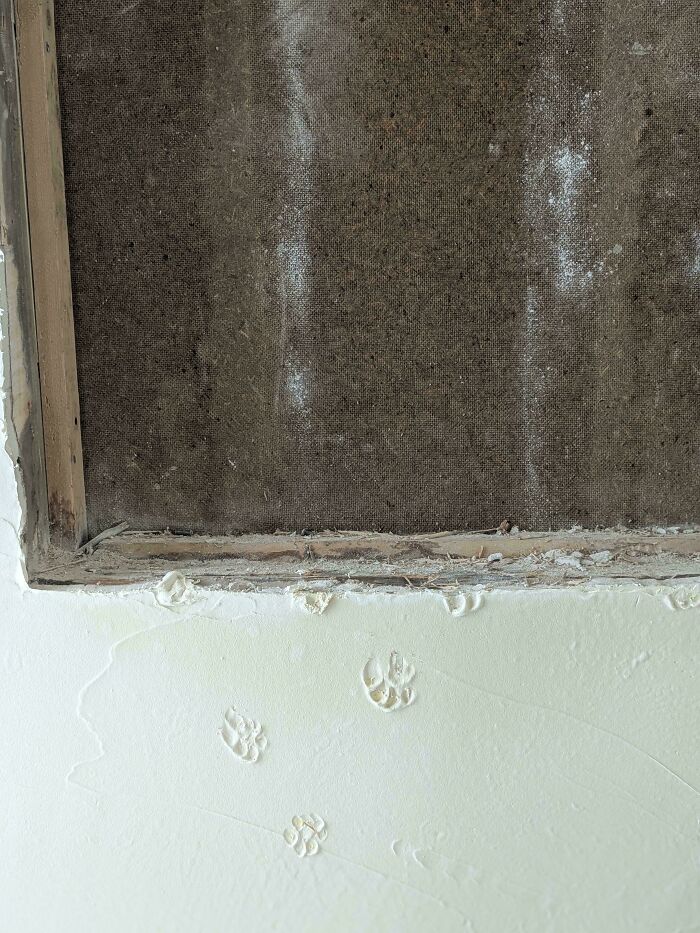 116 Cute Cat Paw Prints That Prove Cats Truly Don’t Care And Never Did