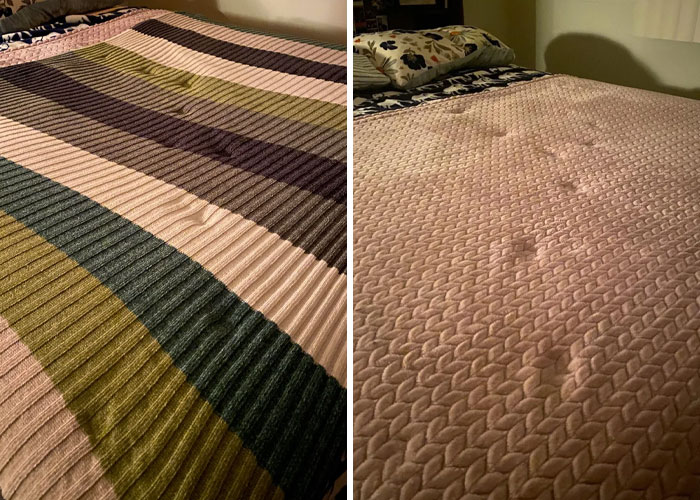 116 Cute Cat Paw Prints That Prove Cats Truly Don’t Care And Never Did