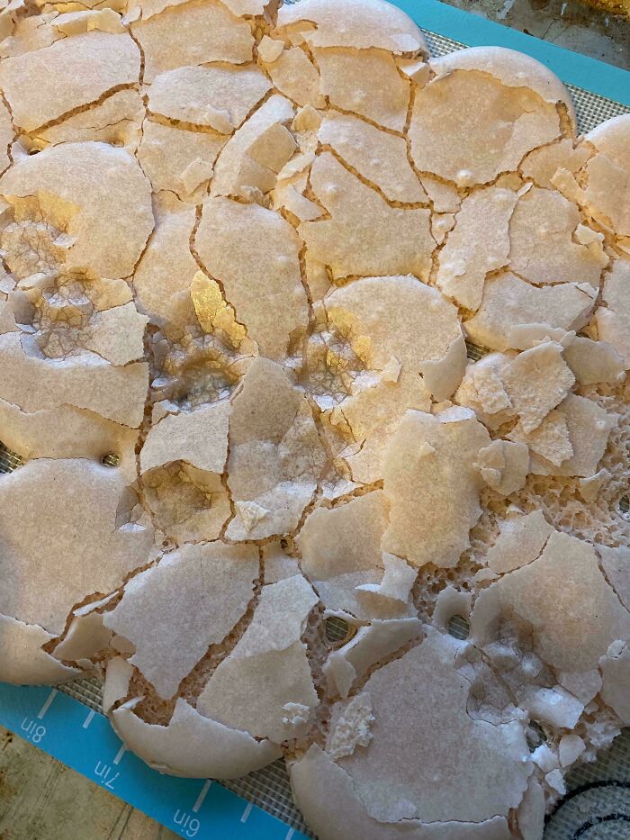 116 Cute Cat Paw Prints That Prove Cats Truly Don’t Care And Never Did