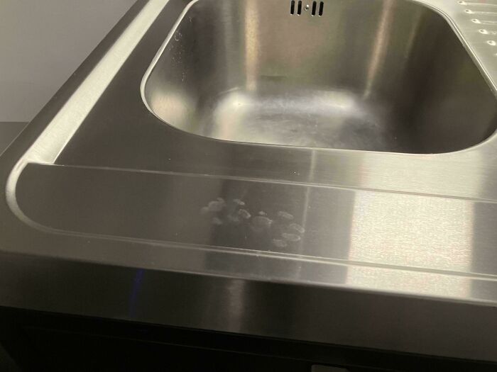 116 Cute Cat Paw Prints That Prove Cats Truly Don’t Care And Never Did