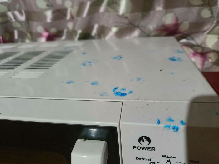 116 Cute Cat Paw Prints That Prove Cats Truly Don’t Care And Never Did