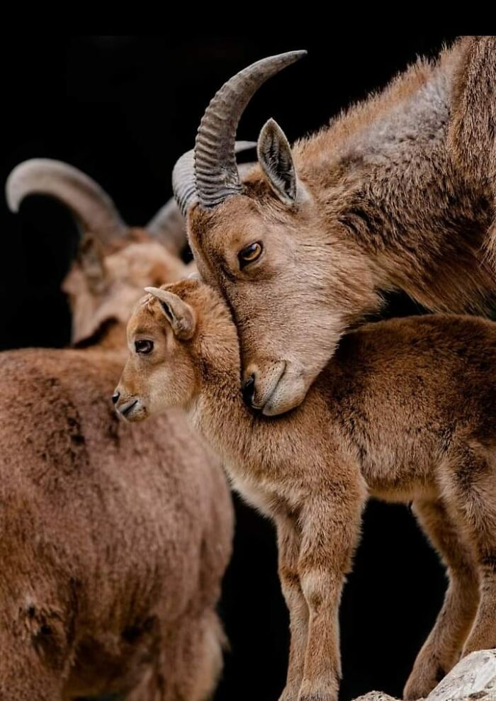 I Took 35 Stunning Wildlife Photos Just Two Kilometers From Home