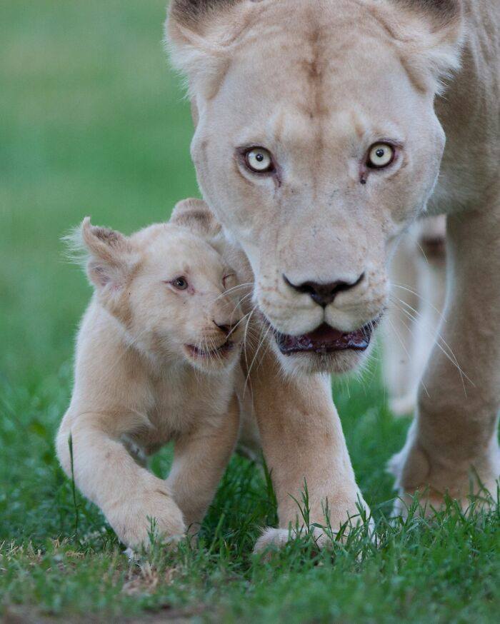 I Took 35 Stunning Wildlife Photos Just Two Kilometers From Home
