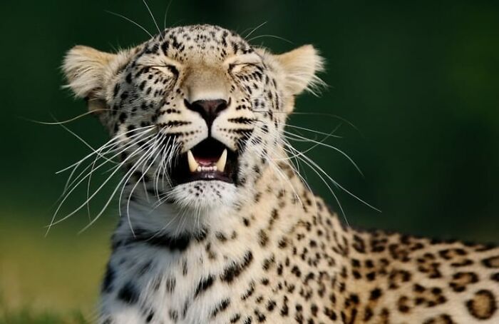 I Took 35 Stunning Wildlife Photos Just Two Kilometers From Home