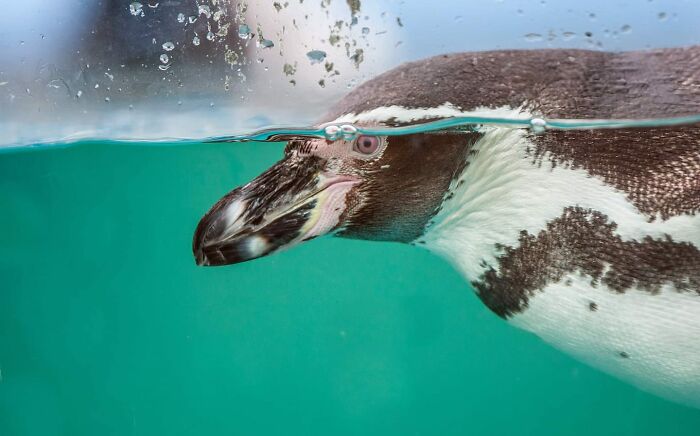 I Took 35 Stunning Wildlife Photos Just Two Kilometers From Home