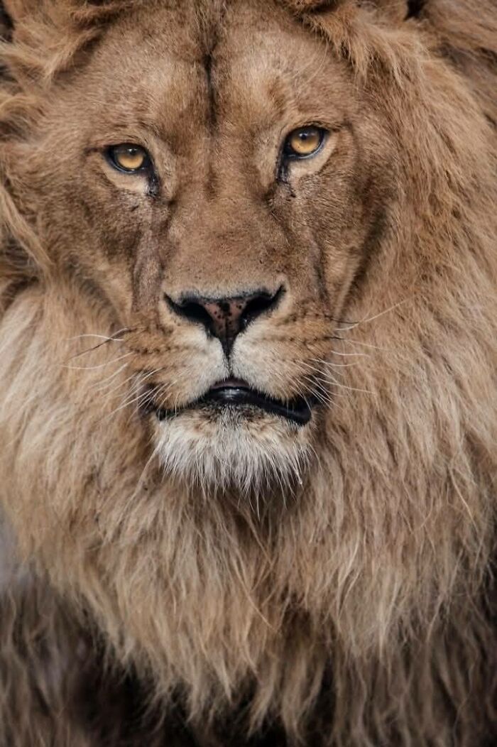 I Took 35 Stunning Wildlife Photos Just Two Kilometers From Home