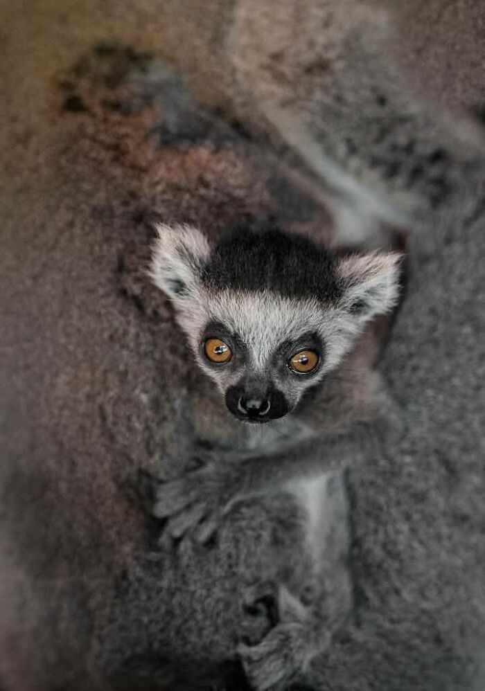 I Took 35 Stunning Wildlife Photos Just Two Kilometers From Home