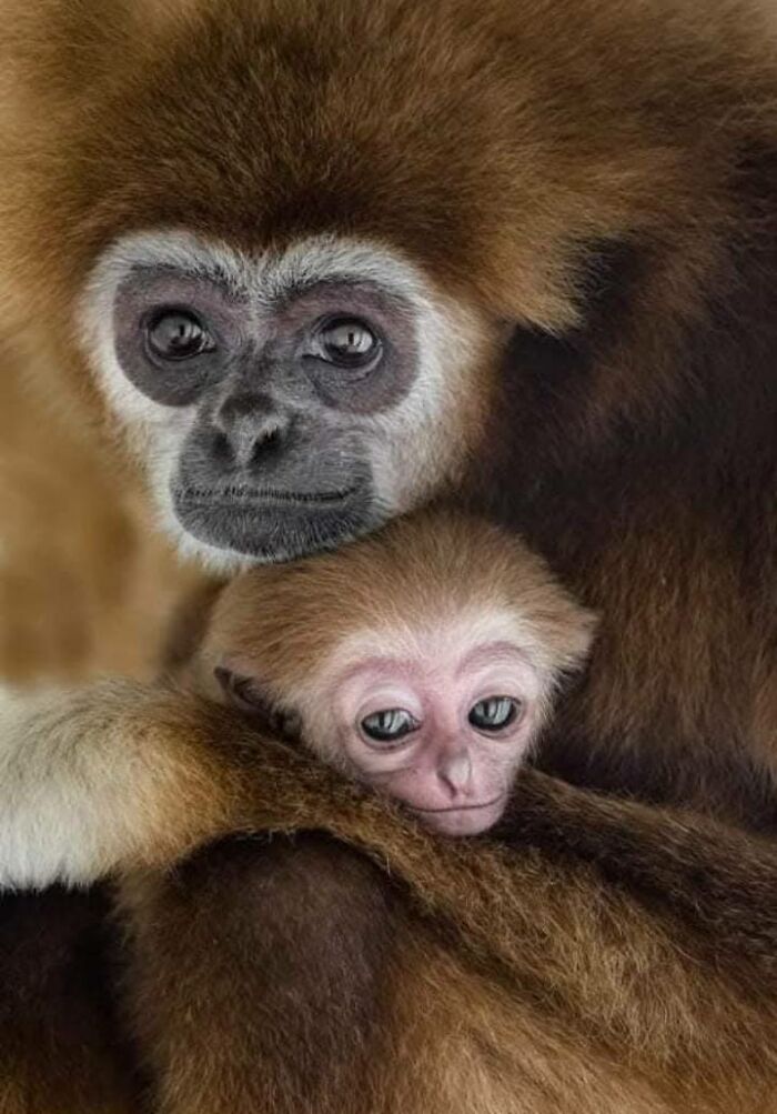 I Took 35 Stunning Wildlife Photos Just Two Kilometers From Home