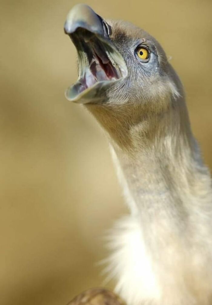 I Took 35 Stunning Wildlife Photos Just Two Kilometers From Home