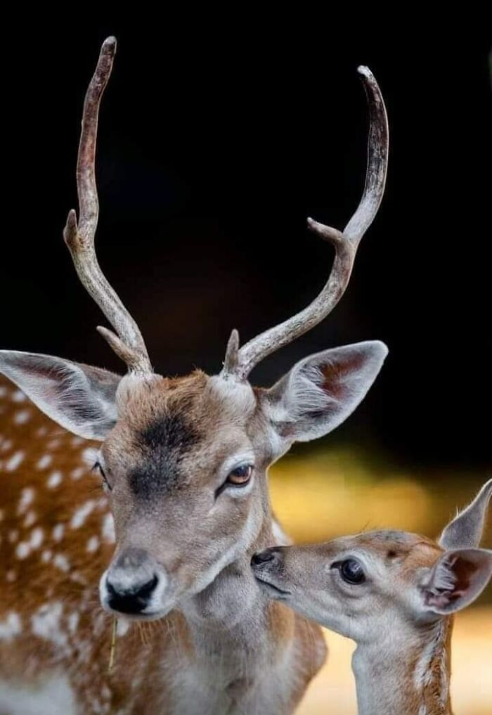 I Took 35 Stunning Wildlife Photos Just Two Kilometers From Home